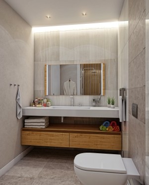 ПРОЕКТ РОСКОШНОЙ СЕМЕЙНОЙ КОНЦЕПЦИИ В БАШАКШЕХИР/СТАМБУЛ