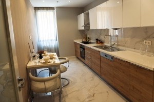 GOOD FOR RENTAL INCOME AND LUXURIOUS PROJECT IN BASAKSEHIR/ISTANBUL